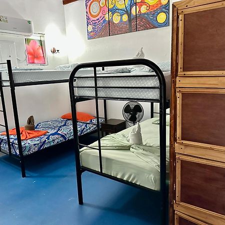 Luminosa Uvita Hostel 외부 사진