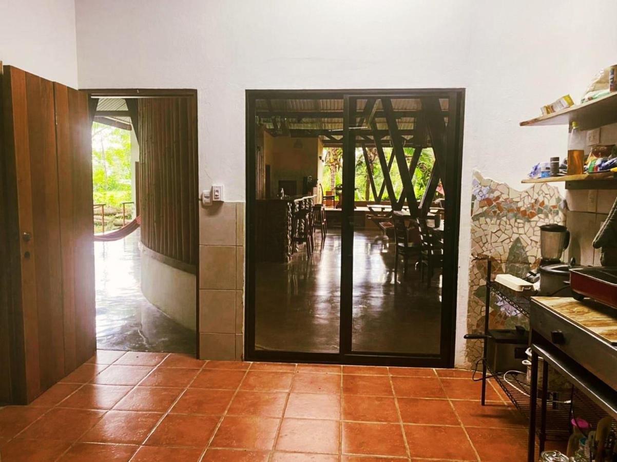 Luminosa Uvita Hostel 외부 사진