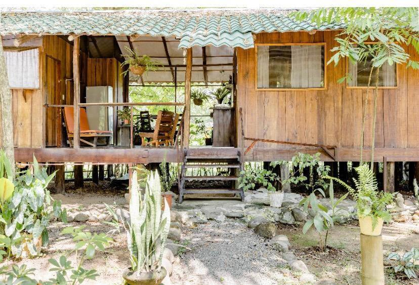 Luminosa Uvita Hostel 외부 사진