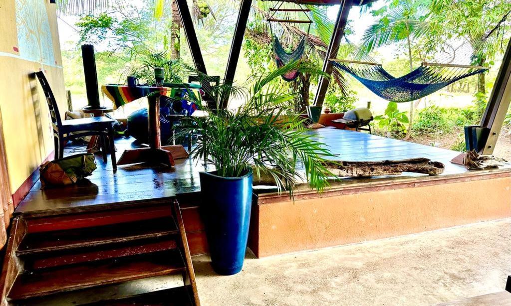 Luminosa Uvita Hostel 외부 사진